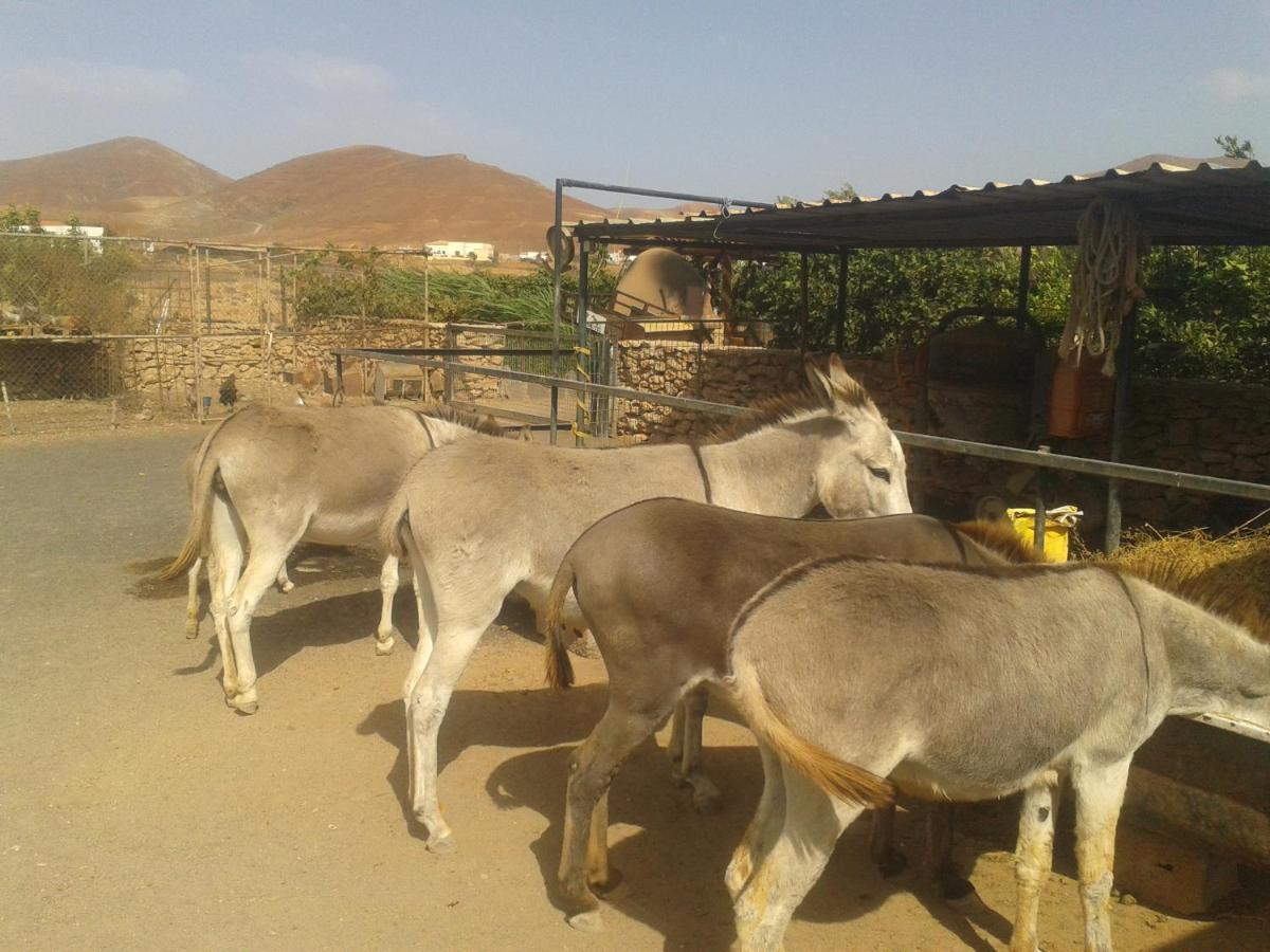 Agroturismo La Gayria Tiscamanita Extérieur photo